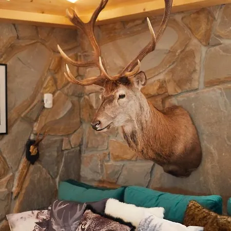 Witkowka Wild Luxury - Sauna & X Adults Only Apartment *